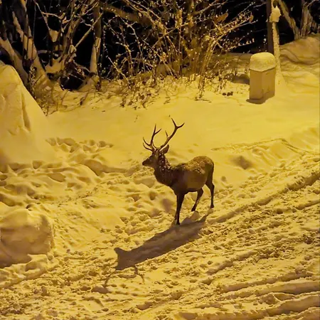 Dobry Klimat 2* Szklarska Poręba