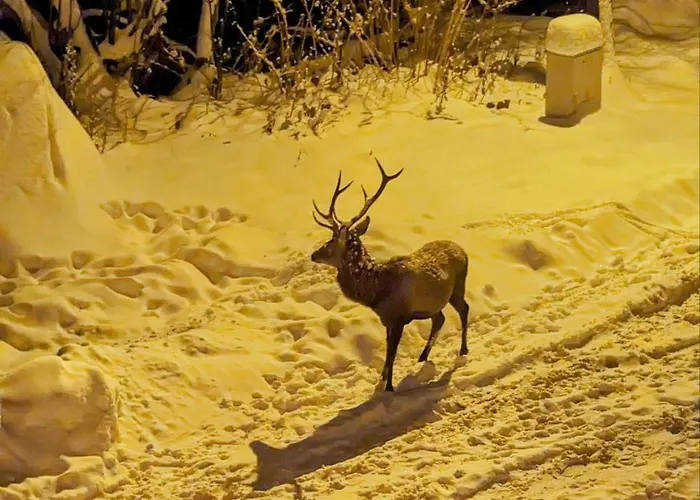 Dobry Klimat 2* Szklarska Poręba